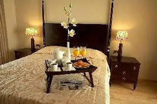 Citotel Altess Annecy Sud Hotel Seynod